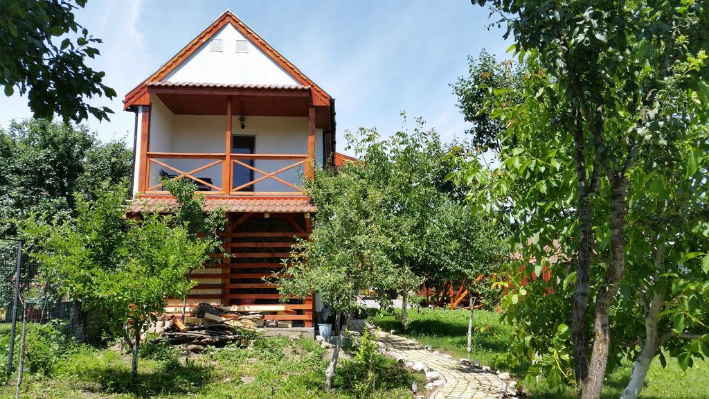Casa Agnes Vendeghaz Hotel Fantanele  Exterior photo